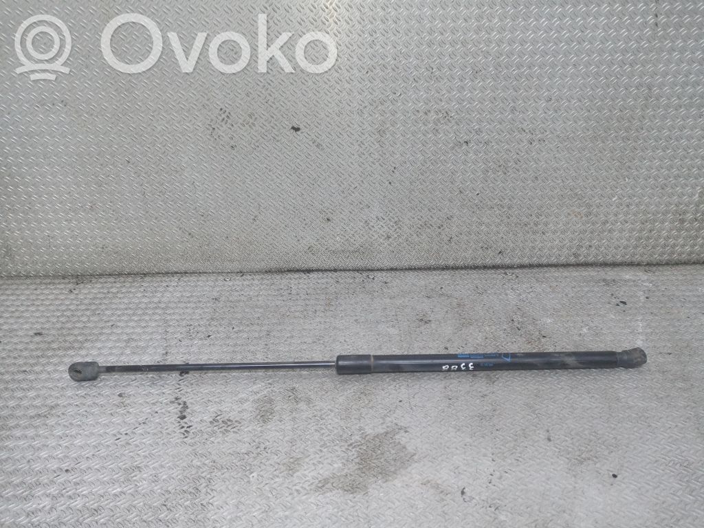 Tailgate/trunk strut/damper   13182309