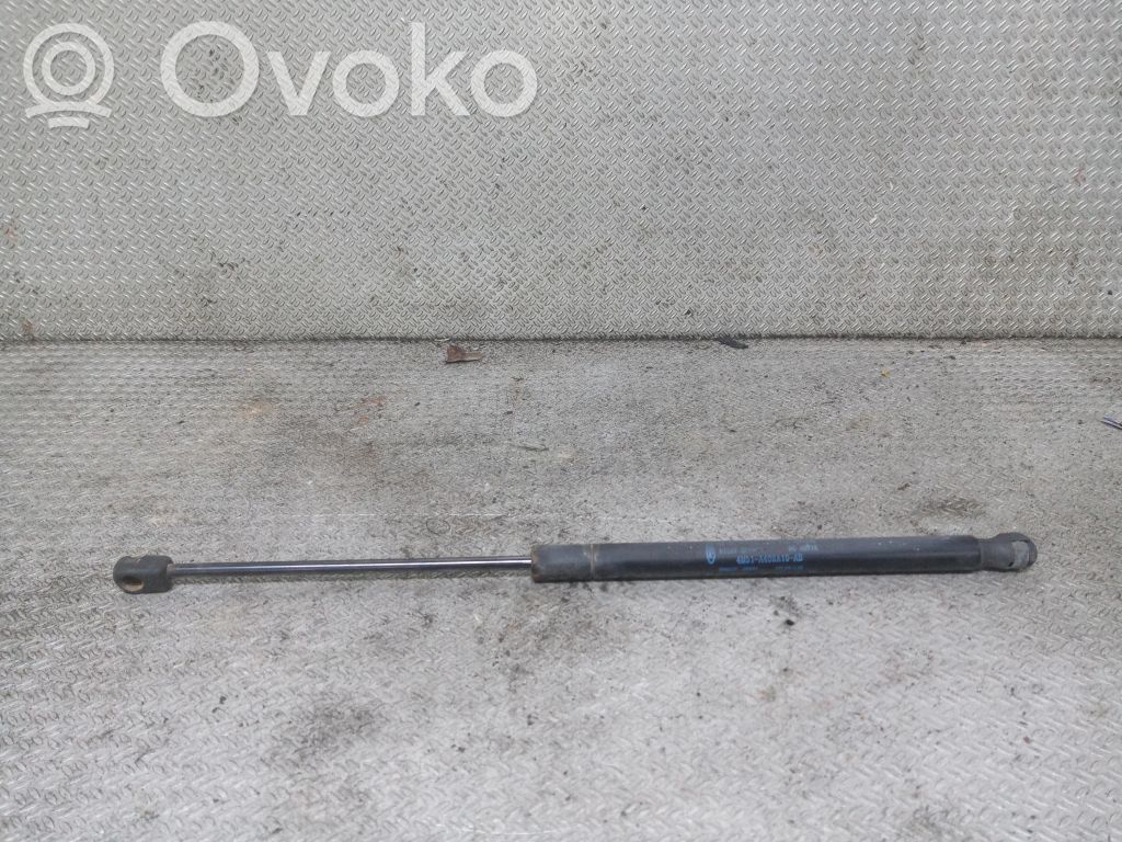 Ford Focus Tailgate/trunk strut/damper 