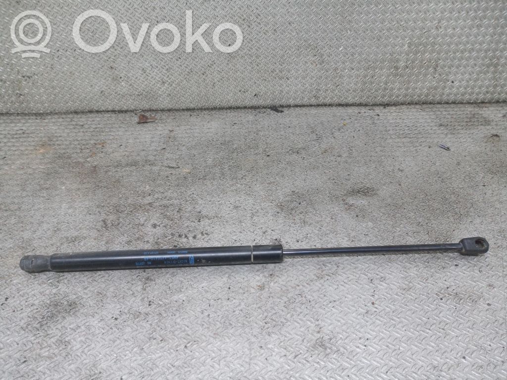 Ford Focus Tailgate/trunk strut/damper 