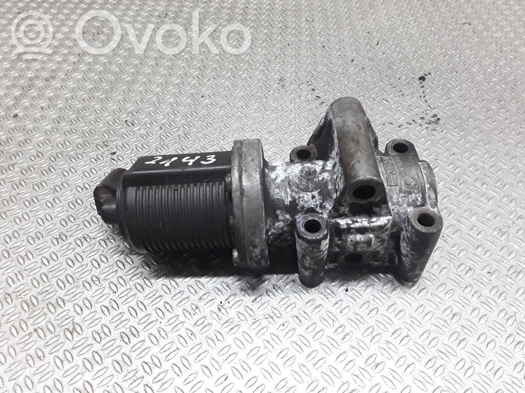 Válvula EGR   55215031