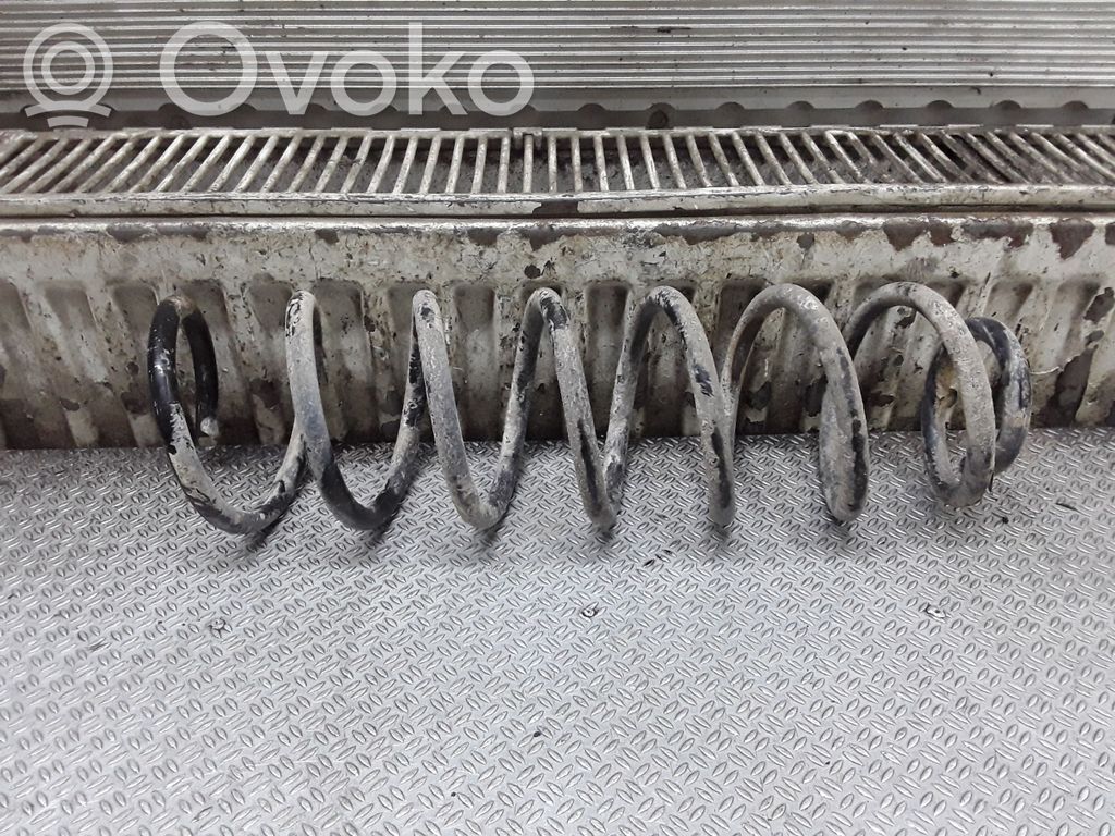 Rear coil spring