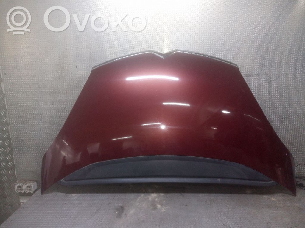 Engine bonnet/hood