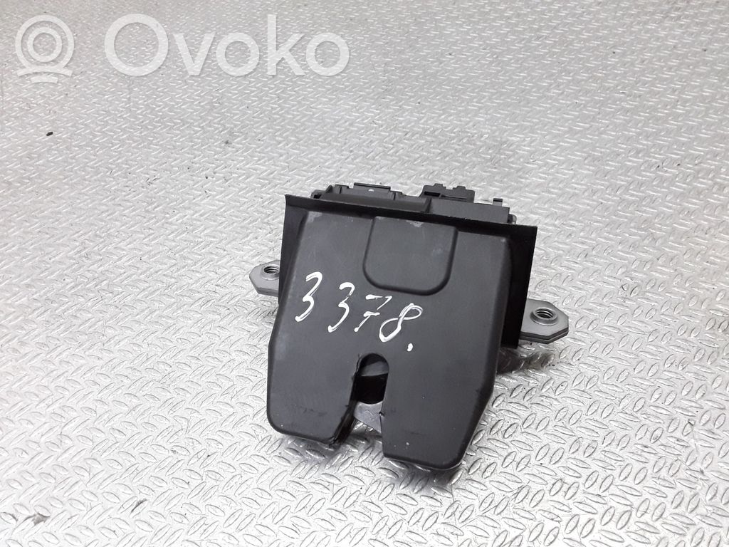 Spyna galinio dangčio   30799474