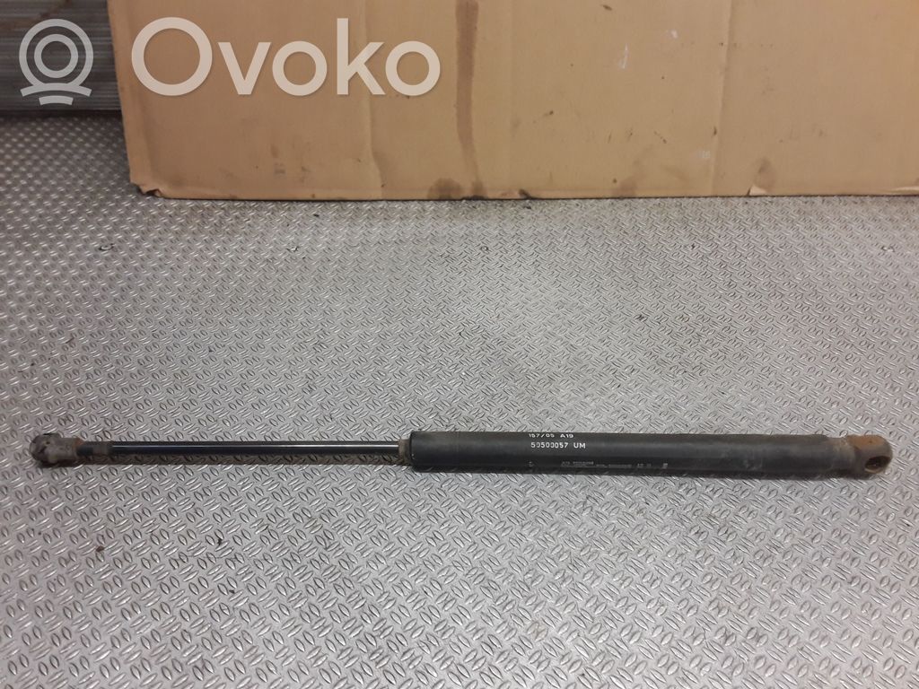 Tailgate/trunk strut/damper   50500057