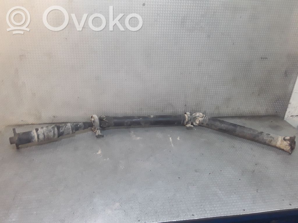 Drive shaft (set)   1229569