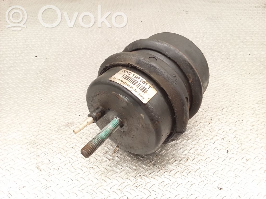 Variklio pagalvė   3D0199381T