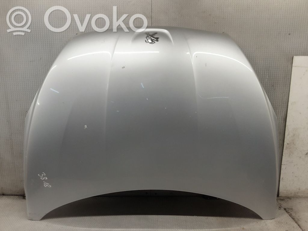 Engine bonnet/hood