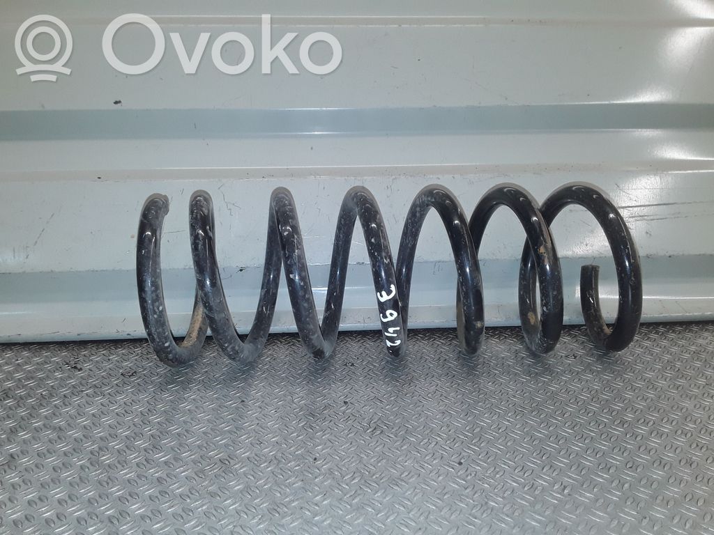 Rear coil spring