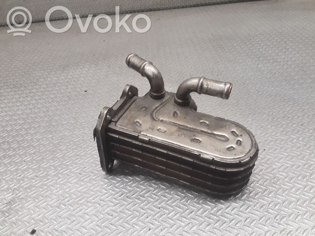 EGR valve cooler   41212067F