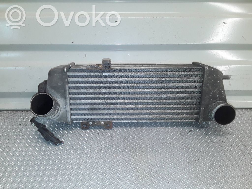 Interkūlerio radiatorius   282702A62X