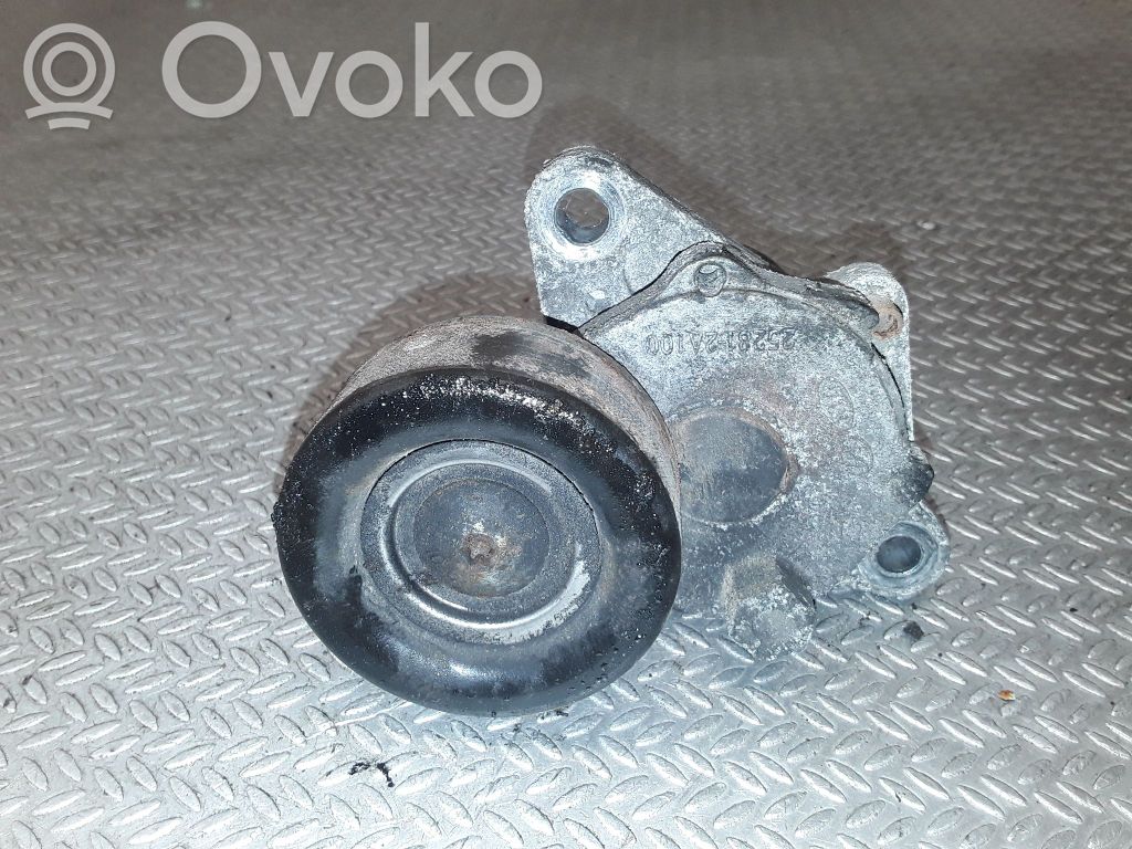 Hyundai i20 (PB PBT) Tensor de correa del alternador 