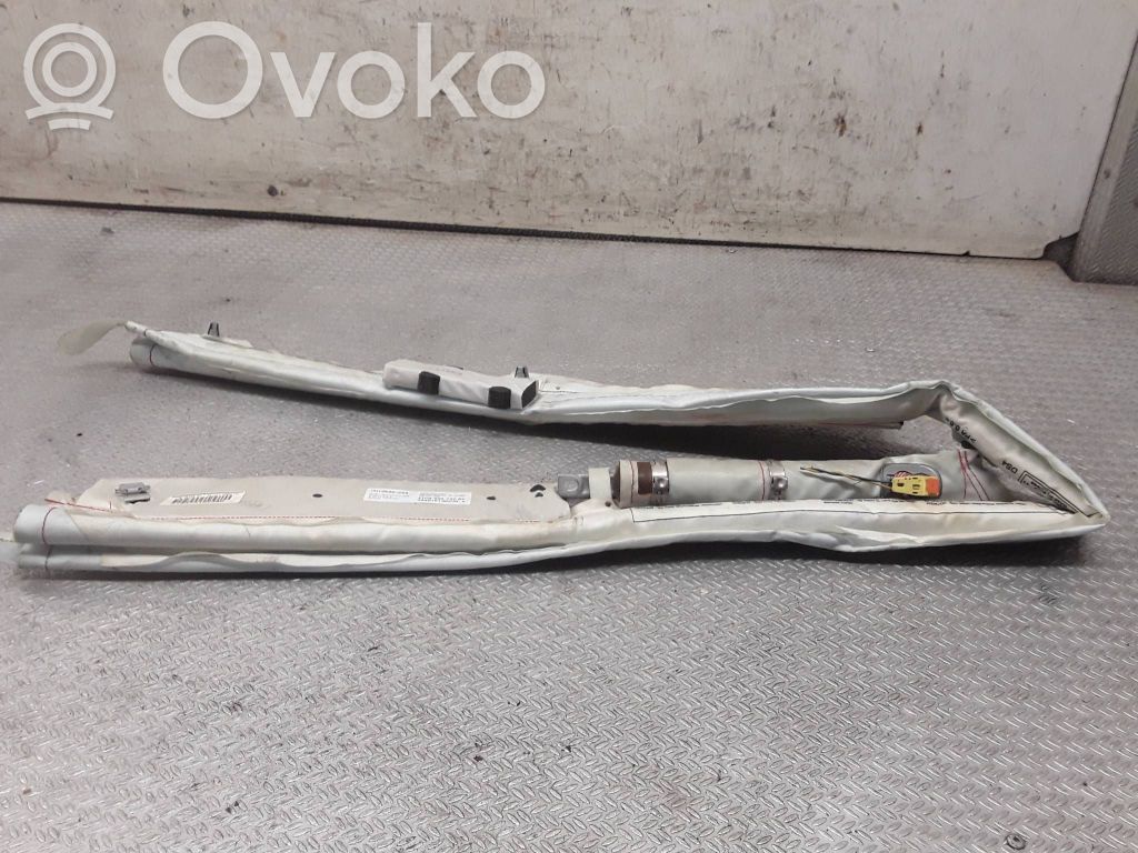 Airbag del techo   1P0880742B