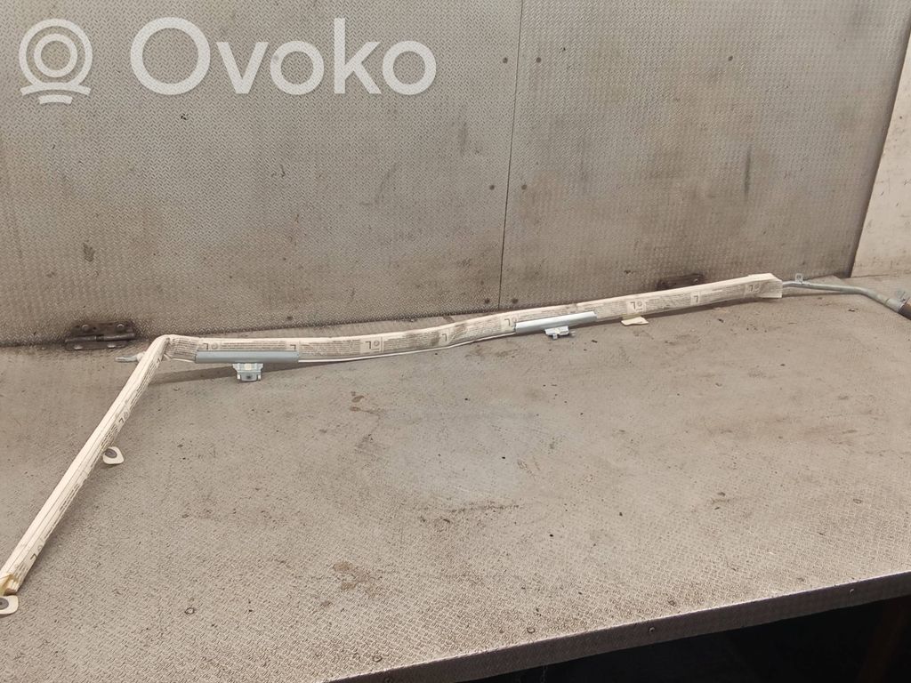 Skoda Octavia Mk2 (1Z) Airbag cortină 
