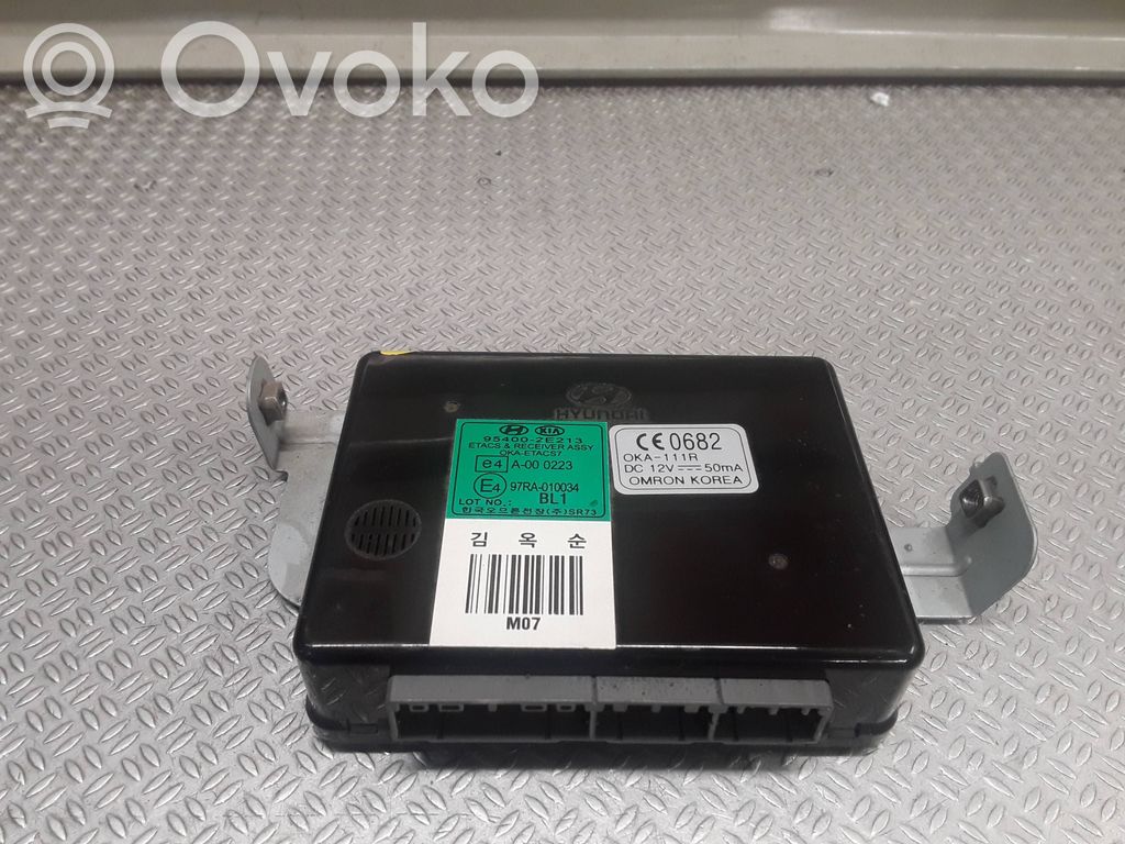 Alte unități/module de control   954002E213