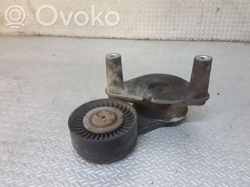 Hyundai Santa Fe Întinzător curea generator/alternator 