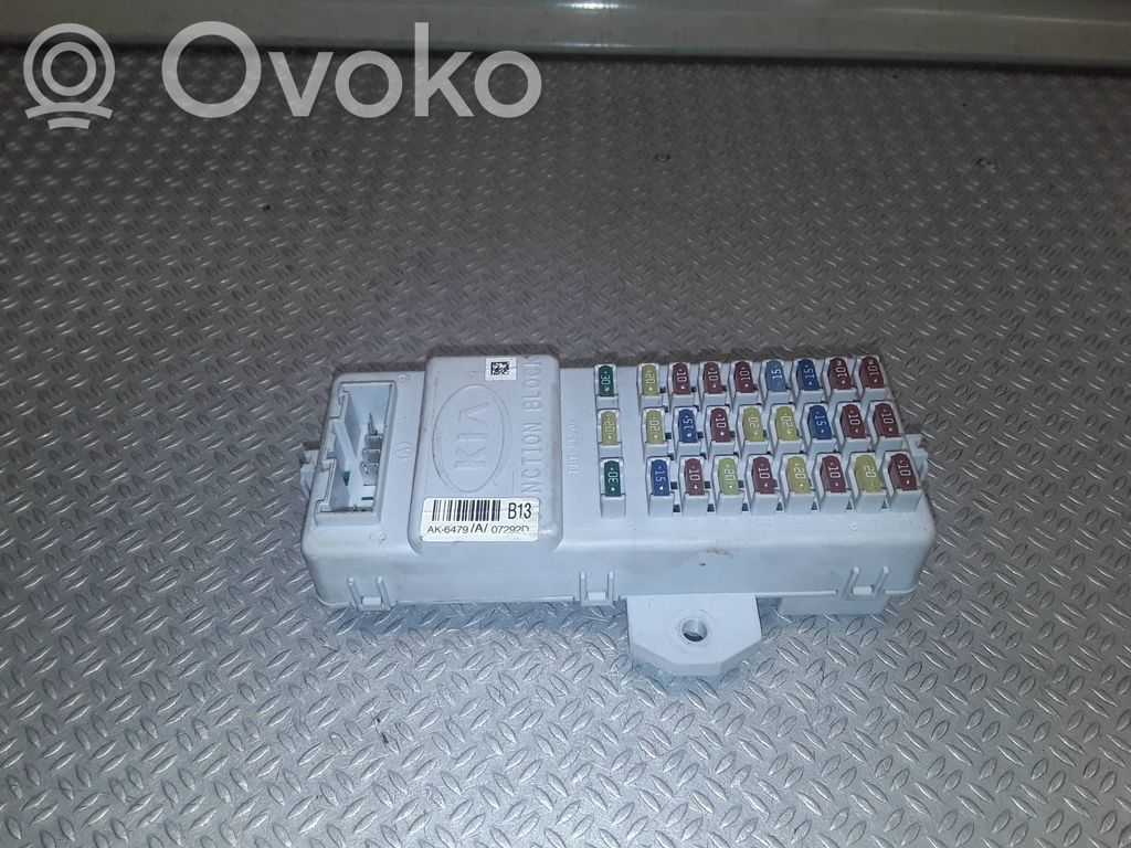 Fuse module   911713E921