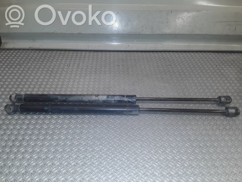 Dodge Caliber Tailgate/trunk strut/damper 