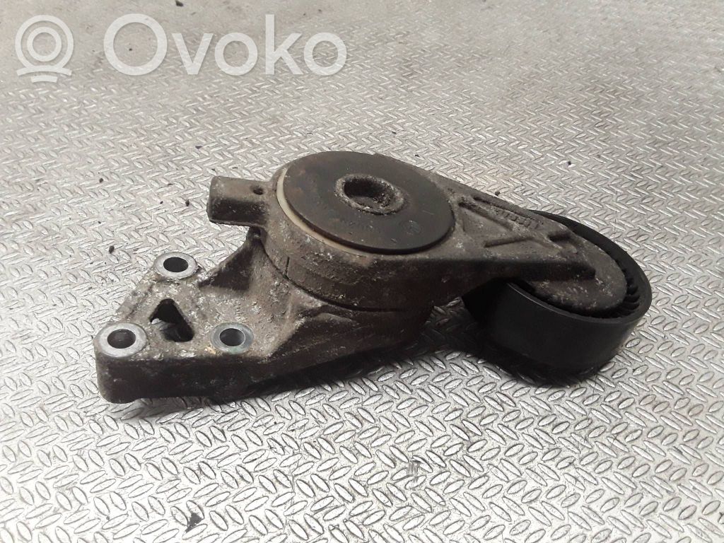 Audi A3 S3 8P Tendicinghia generatore/alternatore 