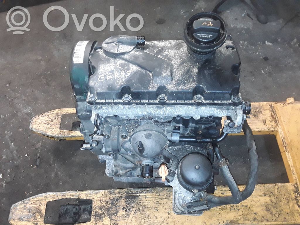 Volkswagen Golf IV Motor 