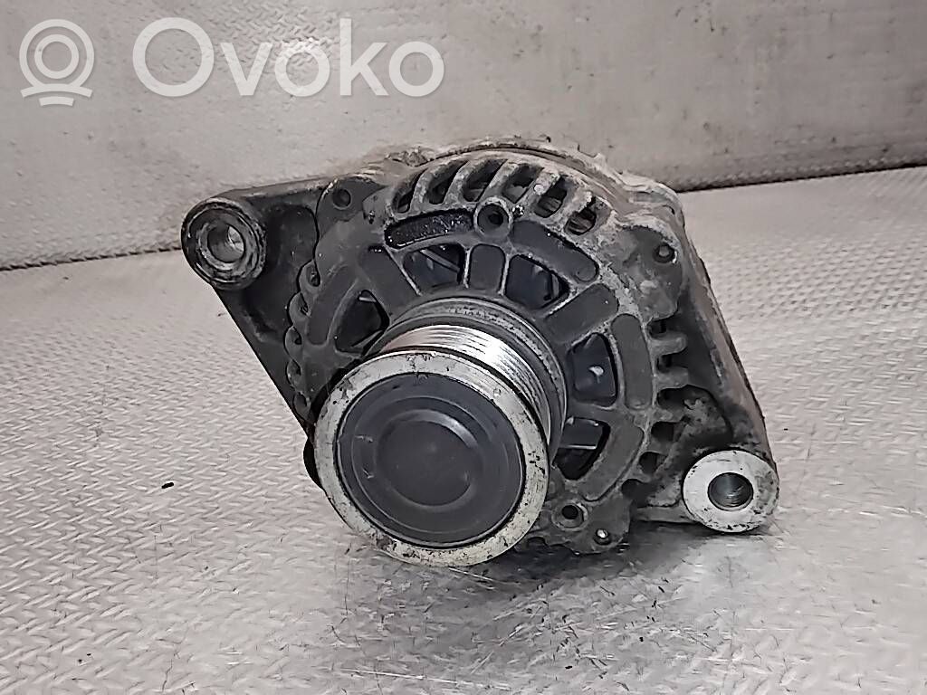 Generatore/alternatore   13502583