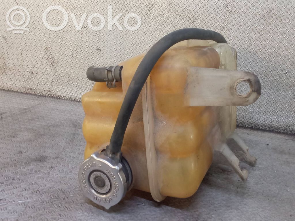 Aušinimo skysčio išsiplėtimo bakelis   04880498AB