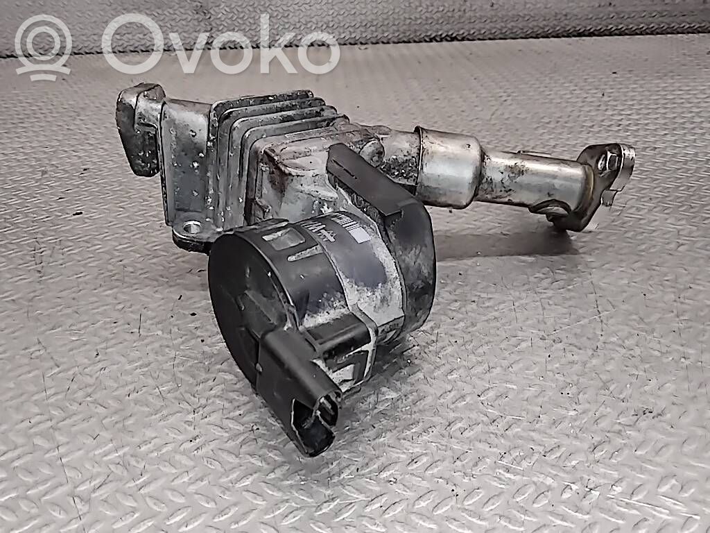 Válvula EGR   7563241
