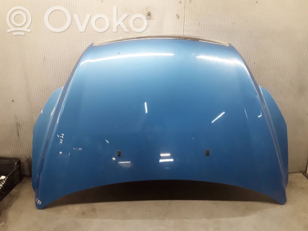 Vano motore/cofano