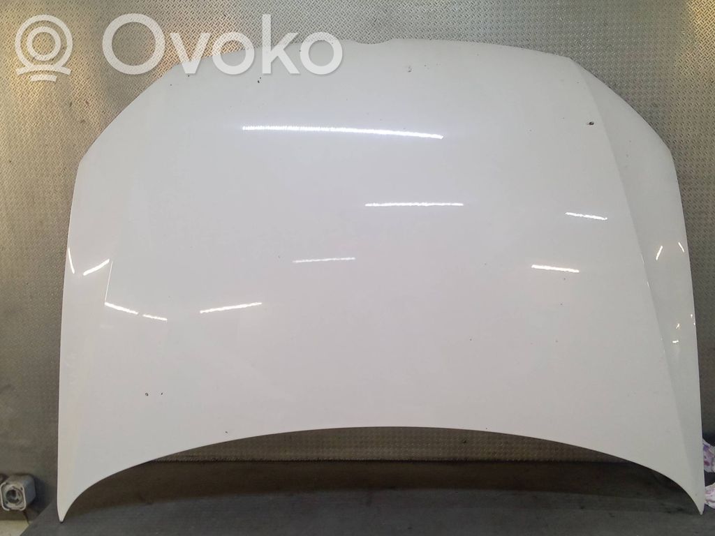 Motorhaube