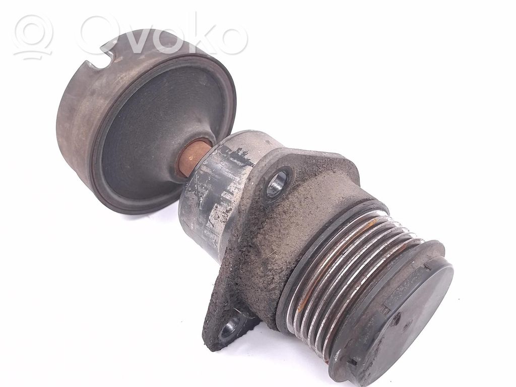 Alternator pulley