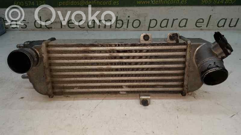 Radiador intercooler   6714315