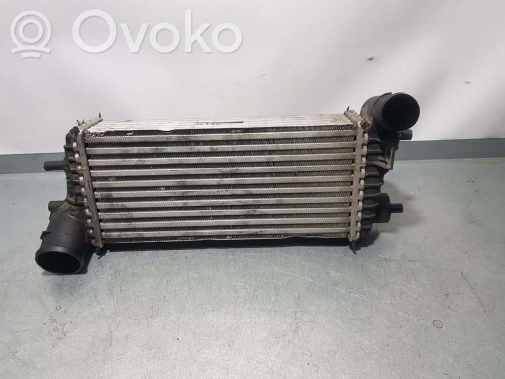 Intercooler radiator   BV619L440CE,FOMOCO,FOMOCO