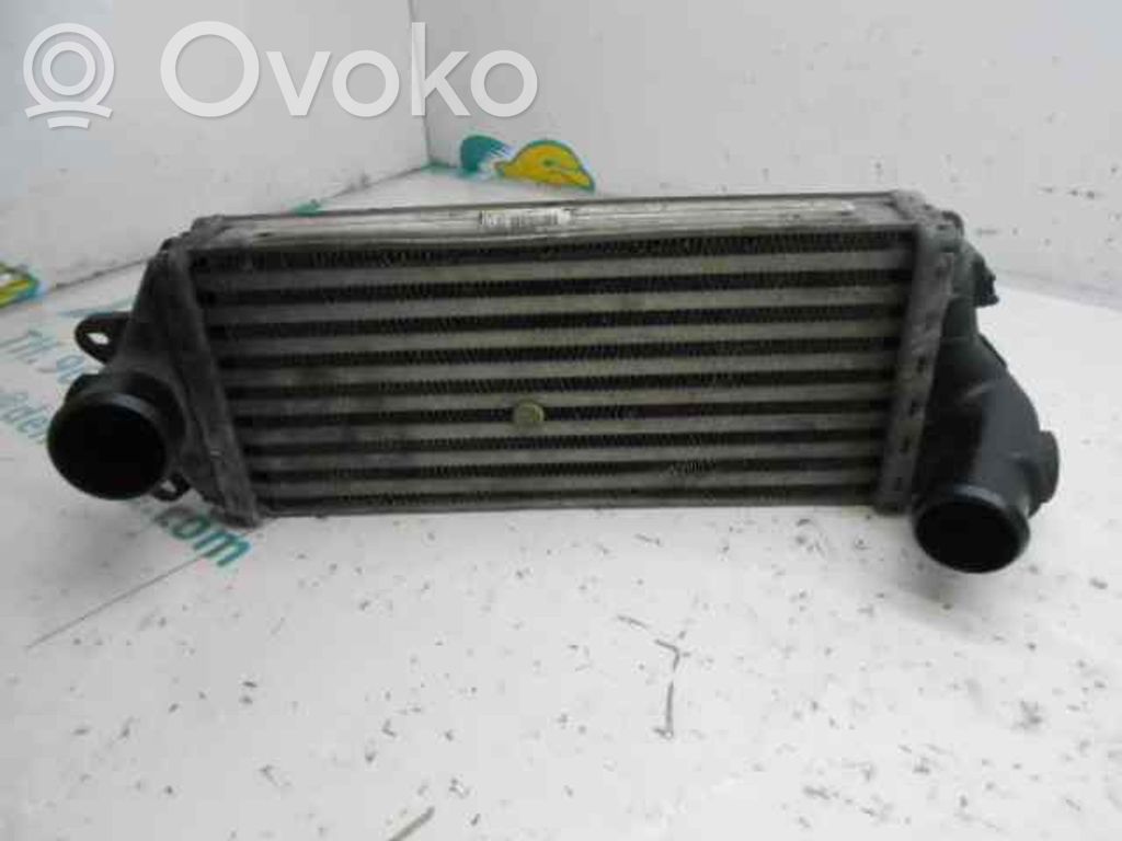 Mini One - Cooper R50 - 53 Interkūlerio radiatorius 