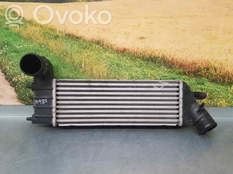 Intercooler radiator   0384G0