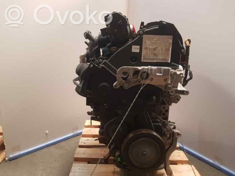 Ford Ecosport Motore 