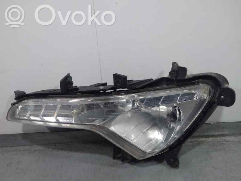 Luz de niebla delantera   922013W200