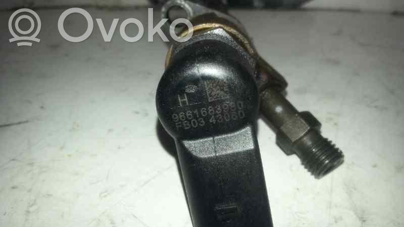 Citroen C5 Inyector de combustible 
