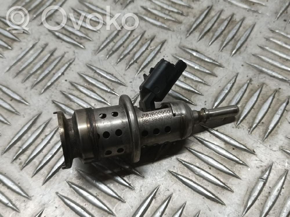 Inyector de combustible   9813930180
