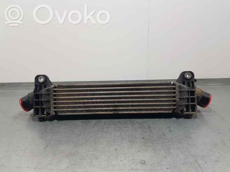 Radiator intercooler   1S7Q9L440,VALEO