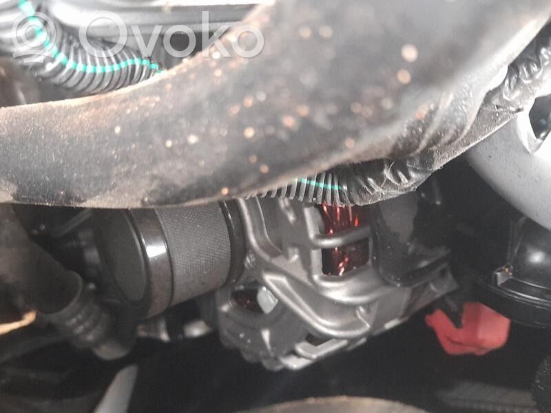 Alternator   231009076R