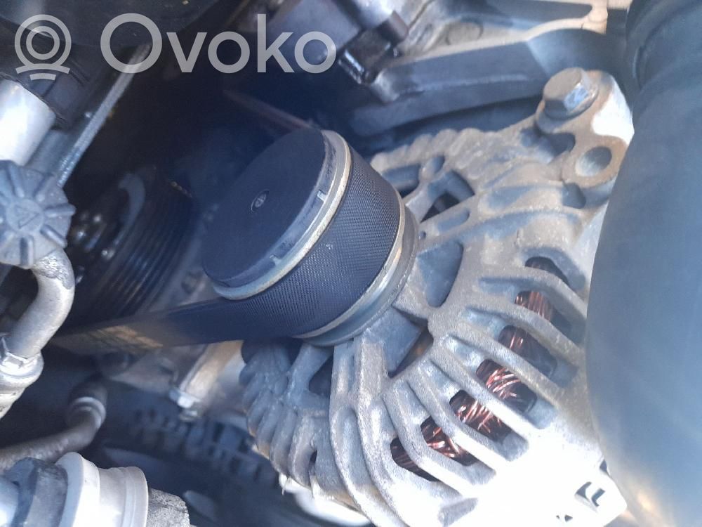 Generator/alternator   06F903023F