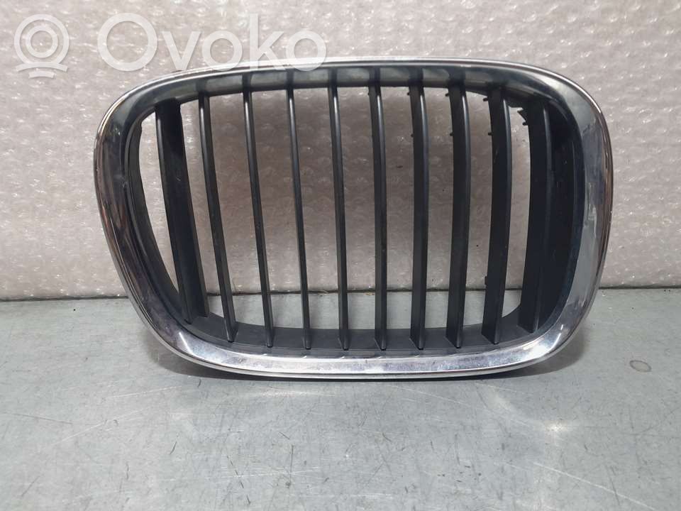 Rejilla delantera   51137005838