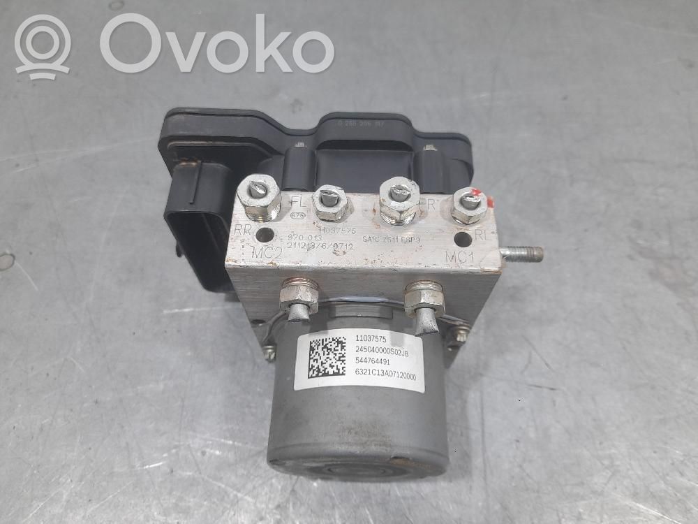 ABS Pump   11037575