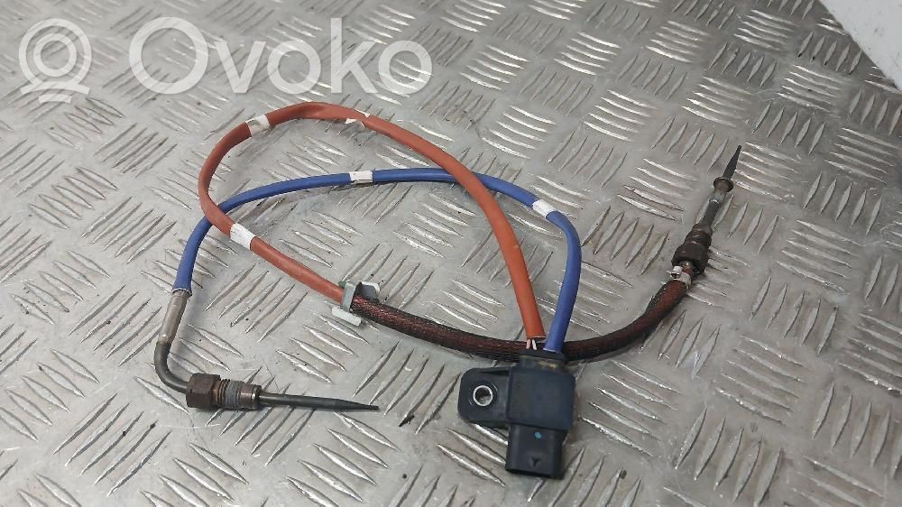 Sensor   226581040R,205027001394