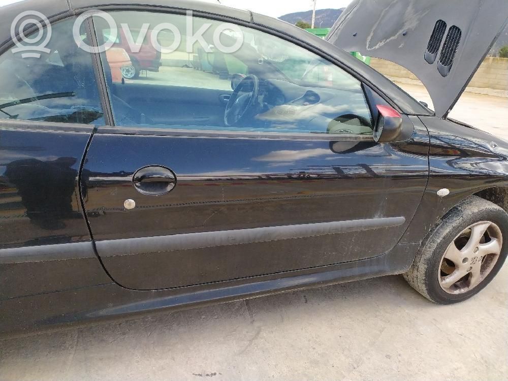 Puerta delantera   9004P1