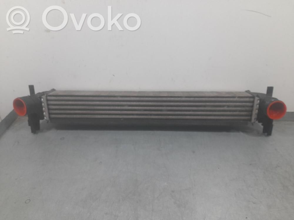Seat Ibiza IV (6J,6P) Radiator intercooler 