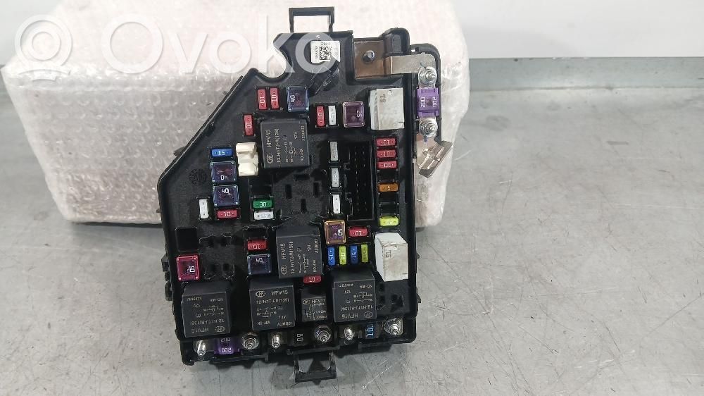 Fuse module   10888784,220819