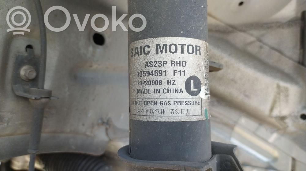 MG HS Front shock absorber/damper 