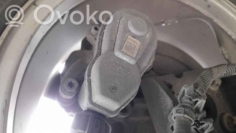 Bremssattel hinten   440019919R