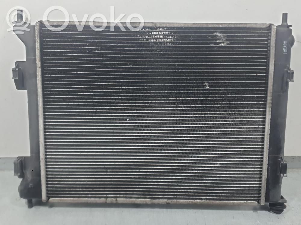 Radiator lichid răcire   253101P200