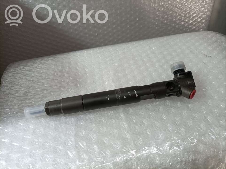 Inyector de combustible   A6510700587,DELPHI